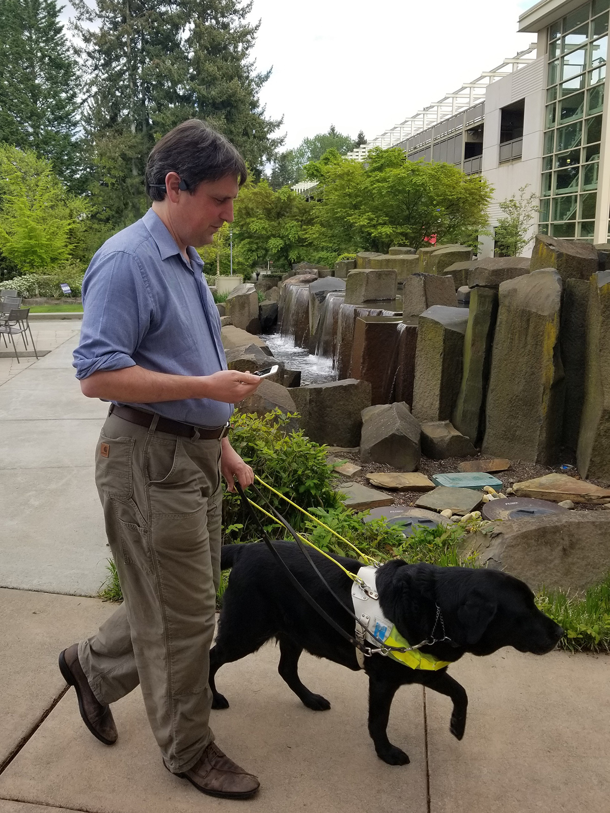 A man walks with a smartphone in one hand, holding the harness for his guide dog in the other.