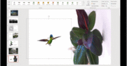 Embedded3DHummingbird graphic