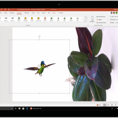 Embedded3DHummingbird graphic