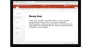 Honey bees copy in PowerPoint