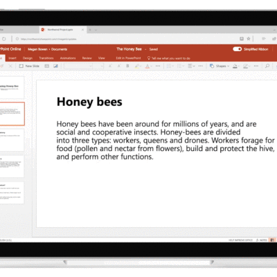 Honey bees copy in PowerPoint