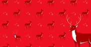 Microsoft Teams virtual background: red deer pattern