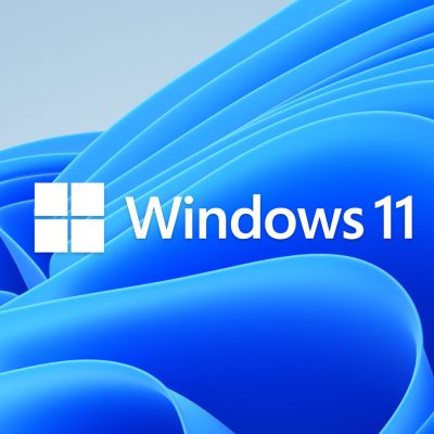 Windows 11 Bloom + Logo