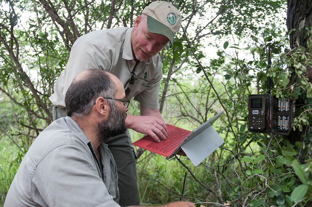 Game rangers using a Surface device