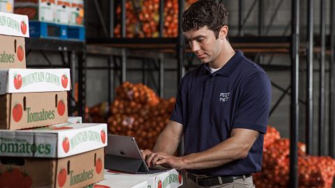 A pest control technician checks RMS data on his laptop at a food processing plant.