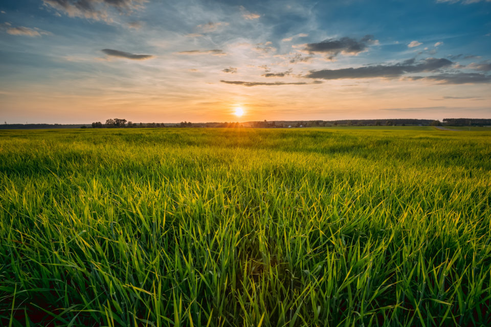 Landschaftsbild mit untergehender Sonne