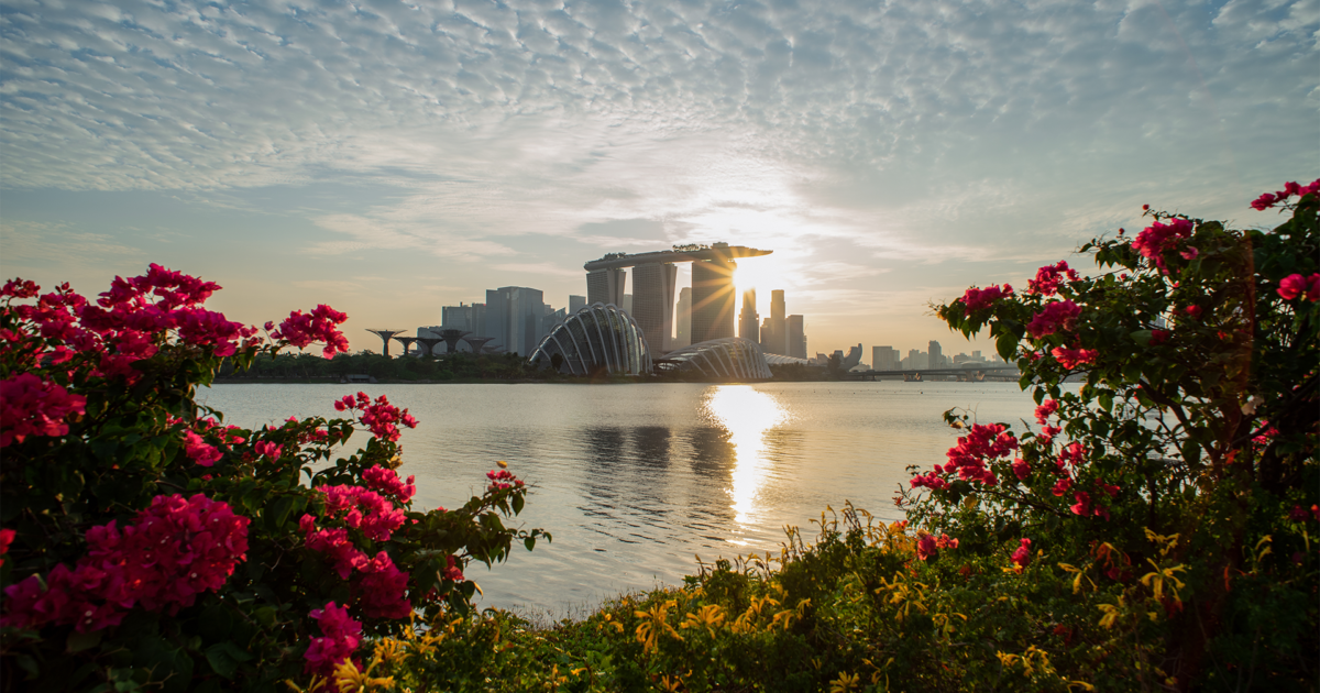 MicrosoftTeams_Background_Singapore_1920x1080