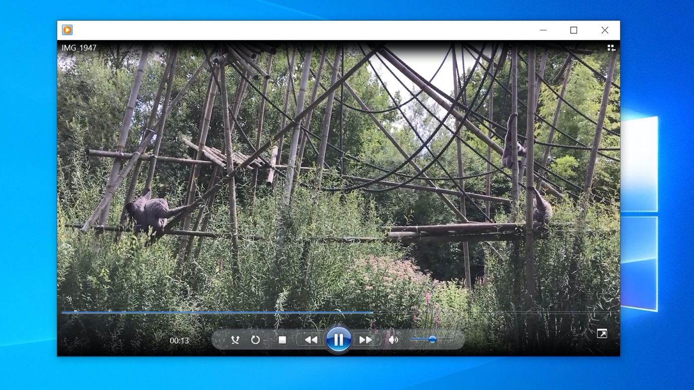 Windows Media Player