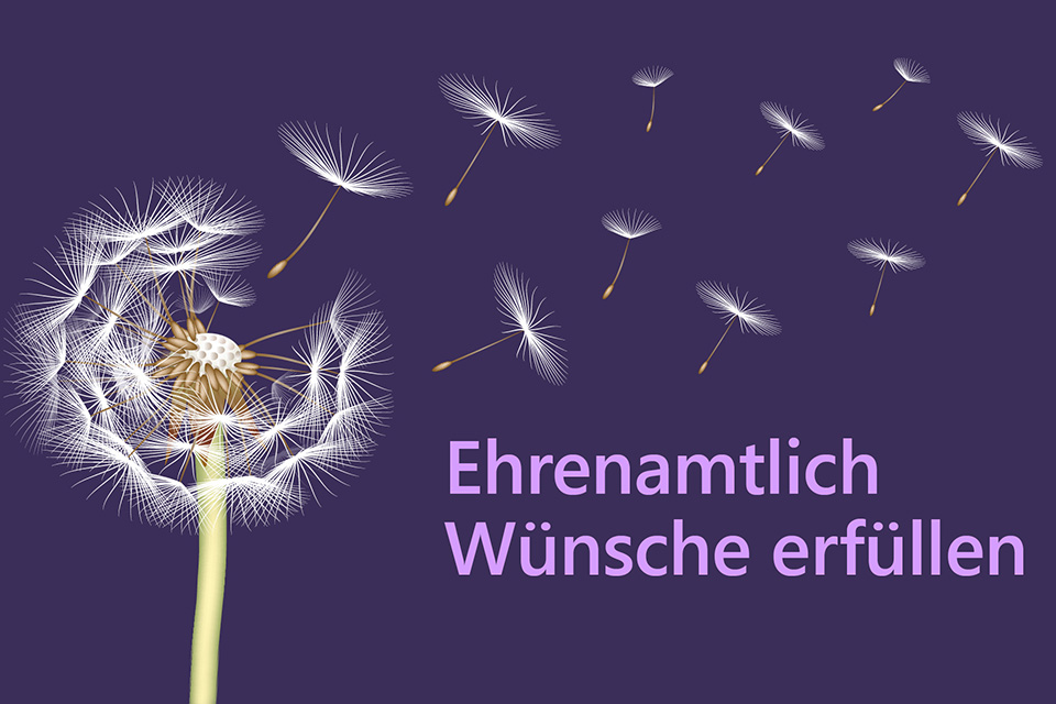 Grafik mit Pusteblume und der Aufschrift "Ehrenamtlich Wünsche erfüllen""