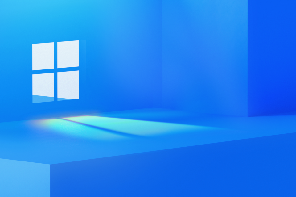 Logo Windows 11