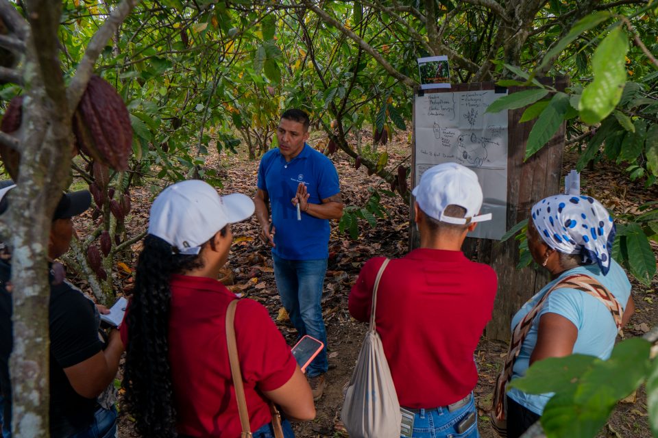 Personas en una finca de cacao