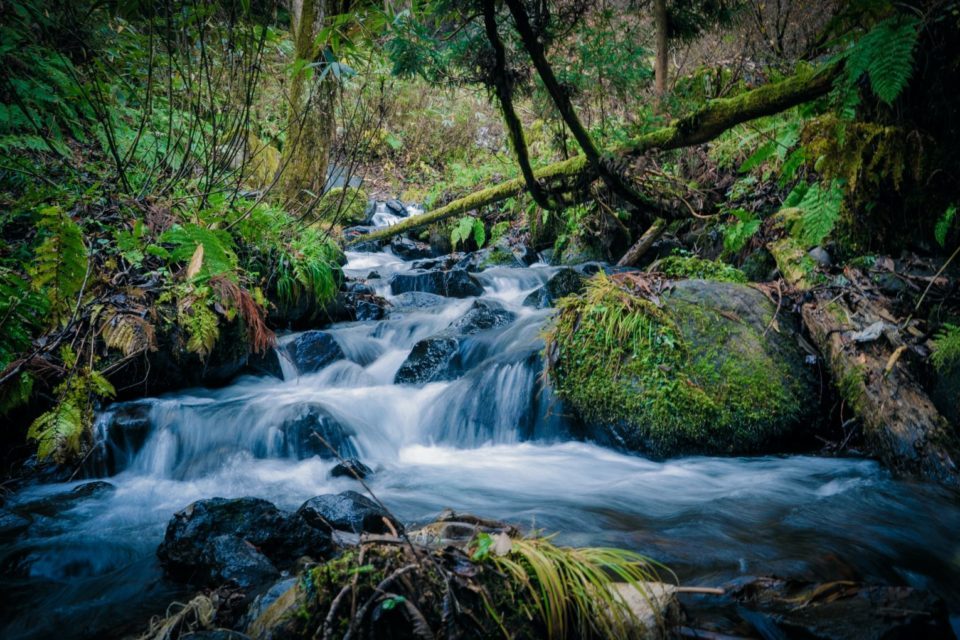 cachoeira