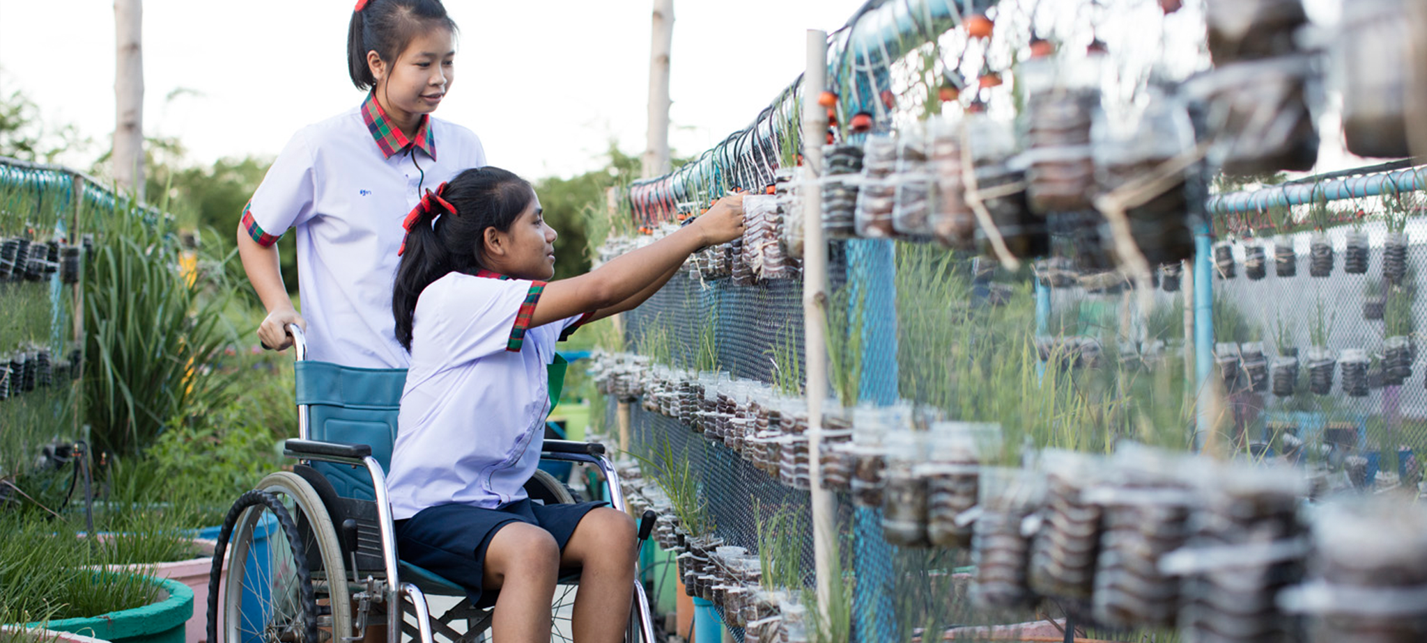 Bamboo school students tending to lime plants