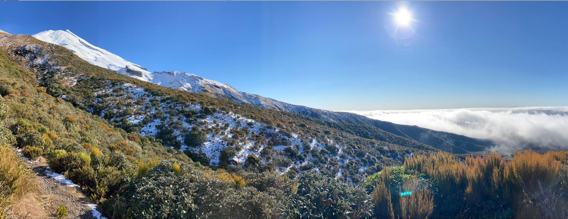 New Zealand Landscape