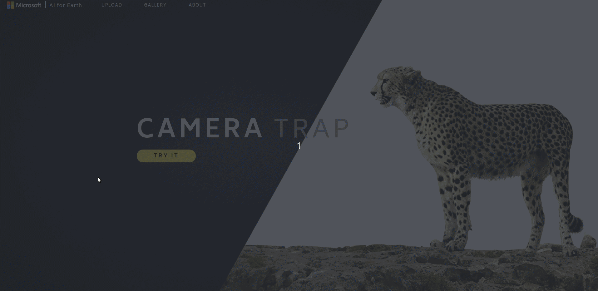 An Illustratration of Gramener's camera trap API at work