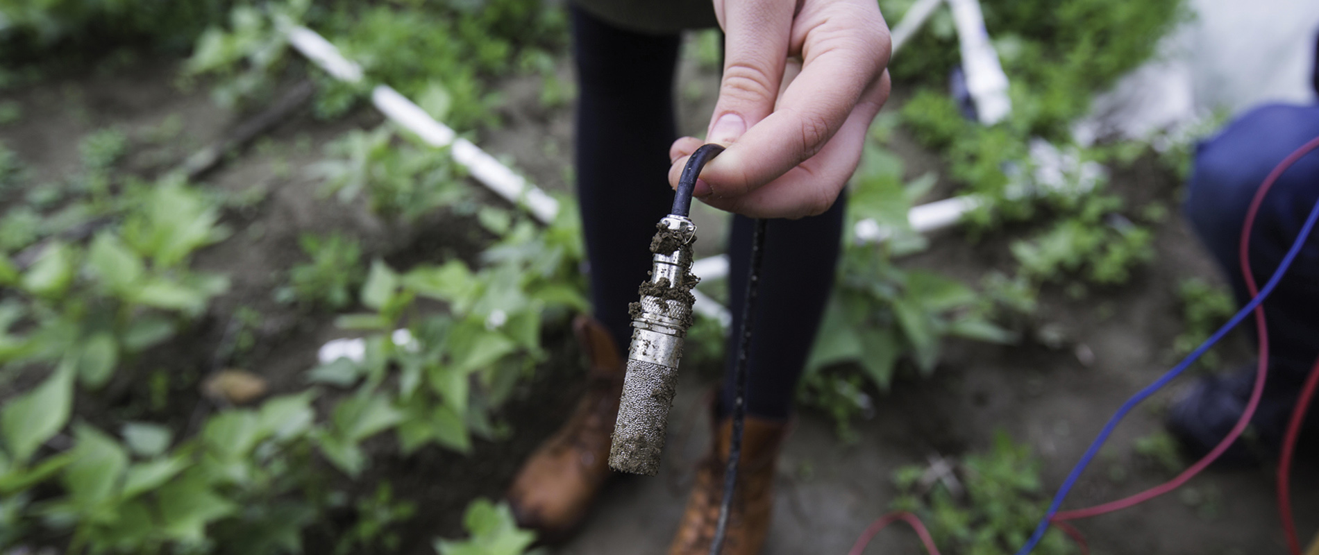 A person holding FarmBeats soil sensor which is connected to an IOT network.