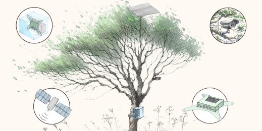 「SPARROW」の発表: 地球上で最も遠隔地における生物多様性を測定、保護する革新的な AI ツール