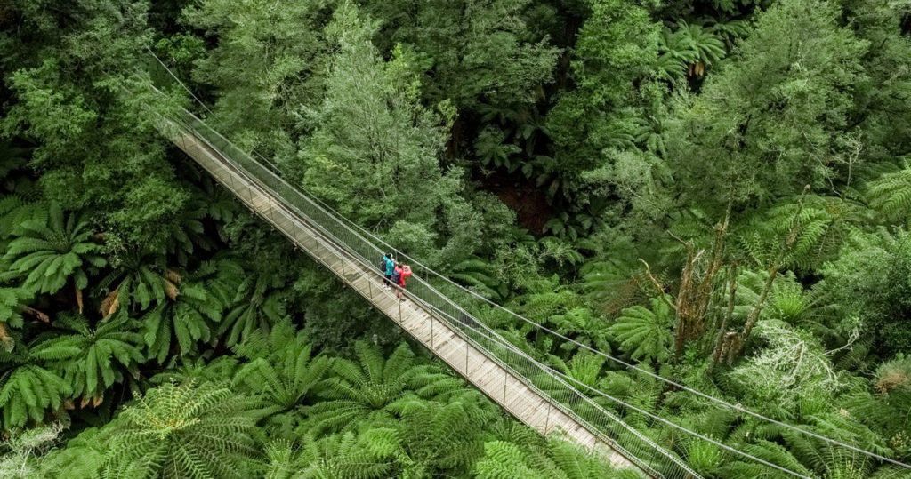 Tarra Bulga Swing Bridge