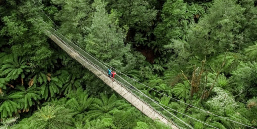 Tarra Bulga Swing Bridge