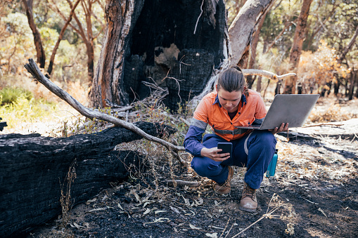 Female scientific environmental conservationist working with the aid of technology to collect data. The Australian Bush has been damaged by fire.