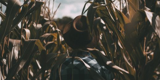 Male walking through a green field