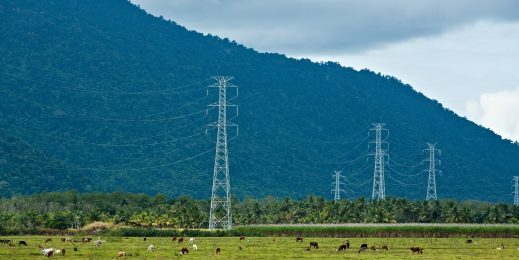 Electrical cable lines in a field