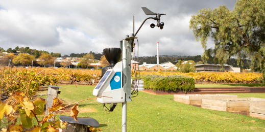 The Yield satellite in an estate