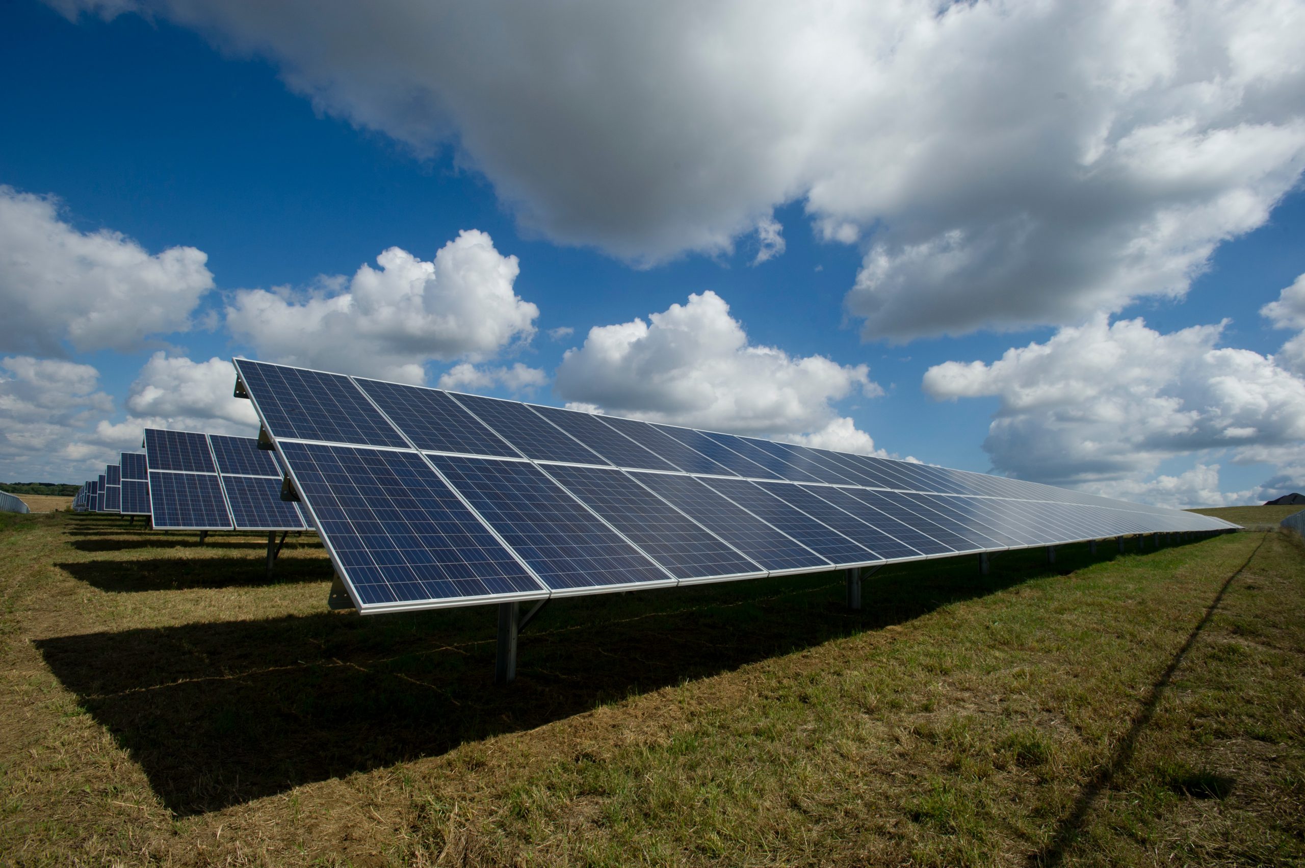 Landscape shot of solar panels