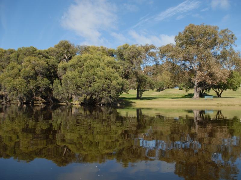 Landscape image of Yellagonga Regional park