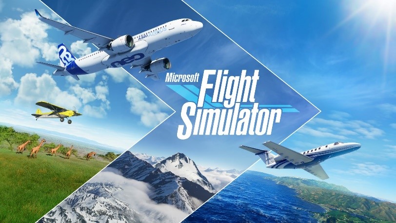 flight simulator